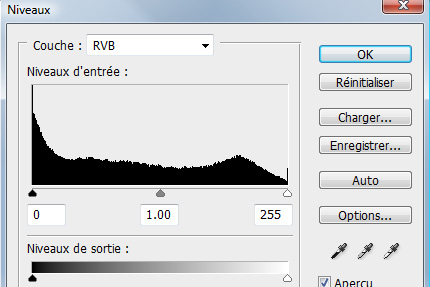 Histogramme final. 