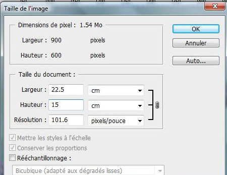 Taille des impressions. 