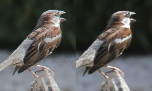 Un clich�, deux images. 