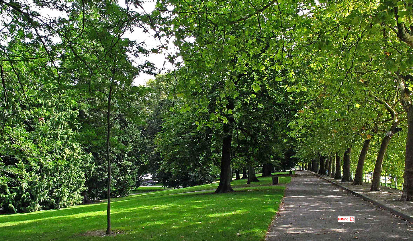 All�e du parc, � Vichy de Patrick Mindeau . 