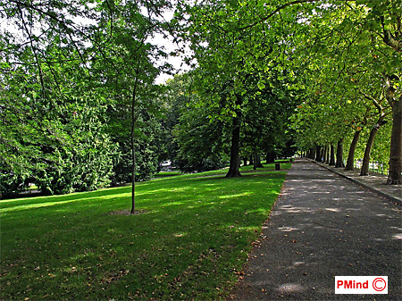 All�e du parc : image d'origine. 