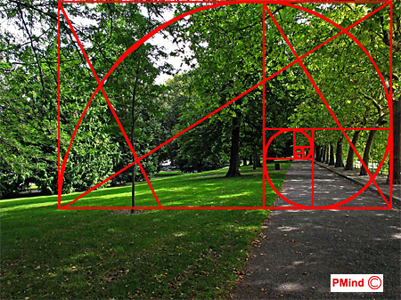 Application du rectangle d'or. 