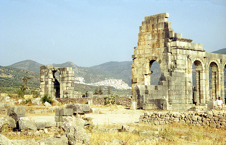 Volubilis. 