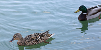 Madame et Monsieur. 