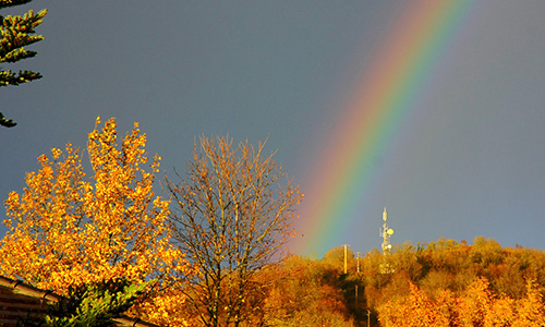 Diffraction naturelle de la lumi�re : l'arc en ciel. 