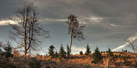 Images des Vosges. 
